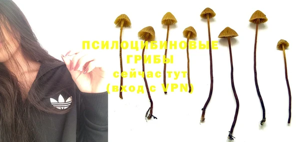 эйфоретик Армянск